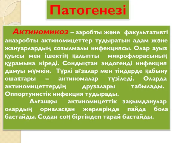 Патогенезі Актиномикоз – аэробты және факультативті анаэробты актиномицеттер тудыратын адам