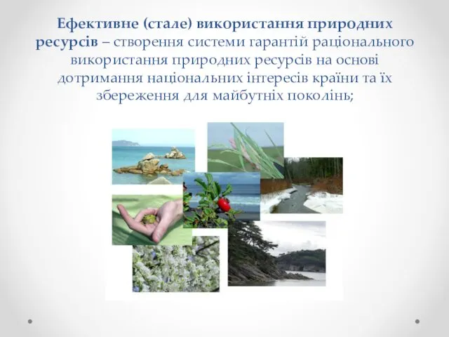 Ефективне (стале) використання природних ресурсів – створення системи гарантій раціонального