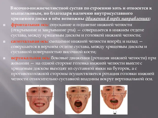 Височно-нижнечелюстной сустав по строению хоть и относится к мыщелковым, но