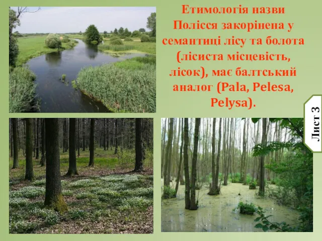 Етимологія назви Полісся закорінена у семантиці лісу та болота (лісиста