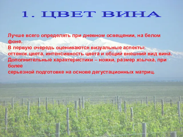 1. ЦВЕТ ВИНА Лучше всего определять при дневном освещении, на