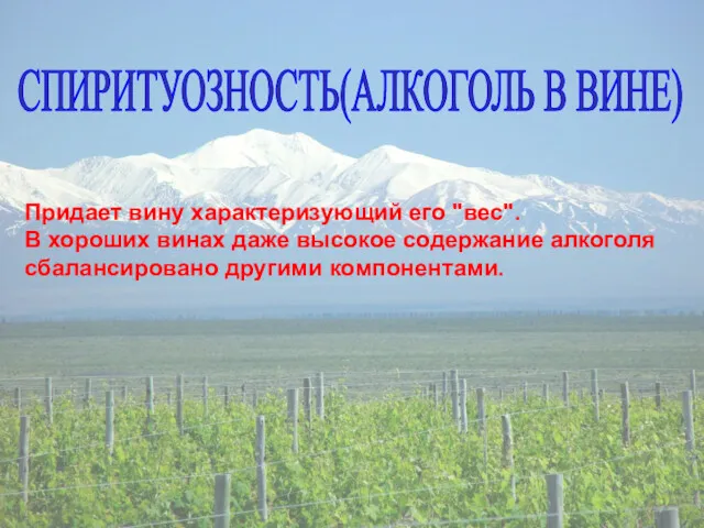 СПИРИТУОЗНОСТЬ(АЛКОГОЛЬ В ВИНЕ) Придает вину характеризующий его "вес". В хороших