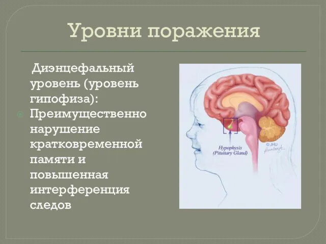 Уровни поражения Диэнцефальный уровень (уровень гипофиза): Преимущественно нарушение кратковременной памяти и повышенная интерференция следов