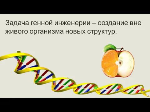 Задача генной инженерии – создание вне живого организма новых структур.