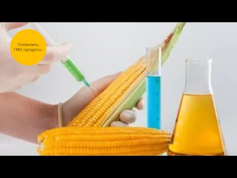 Появились ГМО продукты.