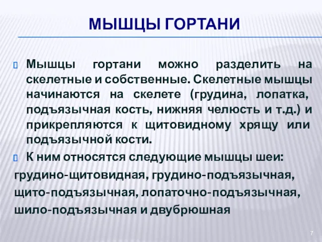 МЫШЦЫ ГОРТАНИ Мышцы гортани можно разделить на скелетные и собственные.