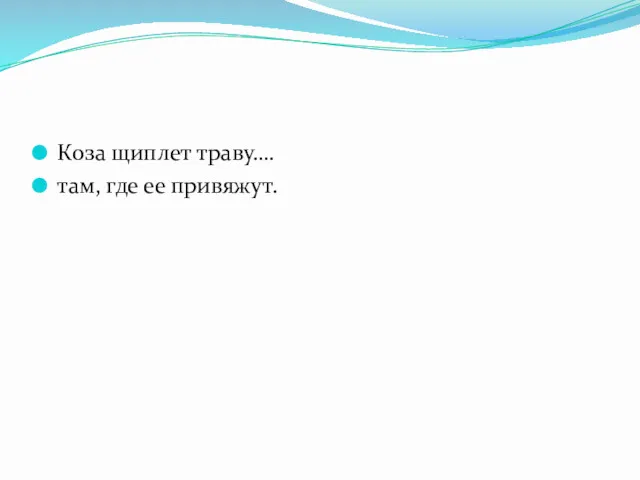 Коза щиплет траву…. там, где ее привяжут.