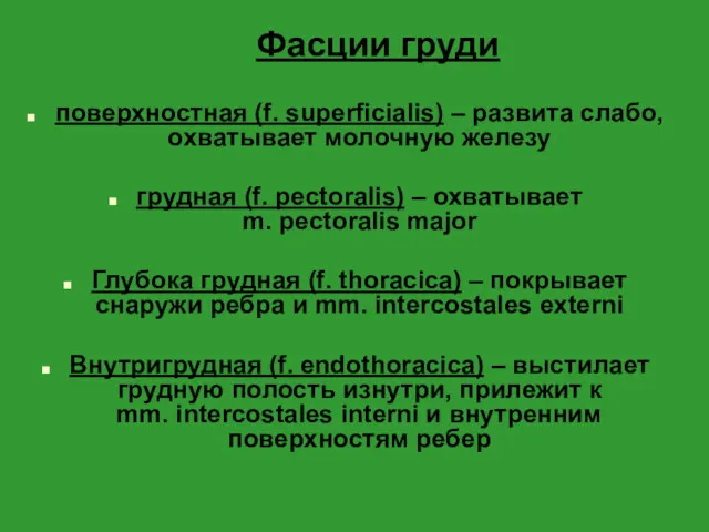 Фасции груди поверхностная (f. superficialis) – развита слабо, охватывает молочную железу грудная (f.