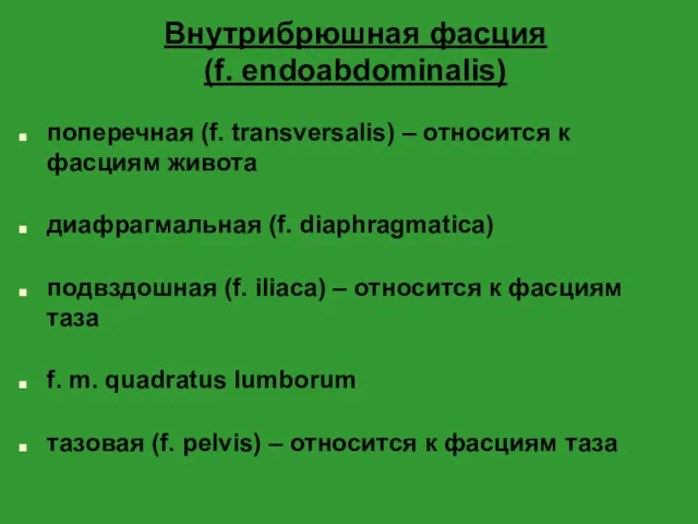 Внутрибрюшная фасция (f. endoabdominalis) поперечная (f. transversalis) – относится к фасциям живота диафрагмальная