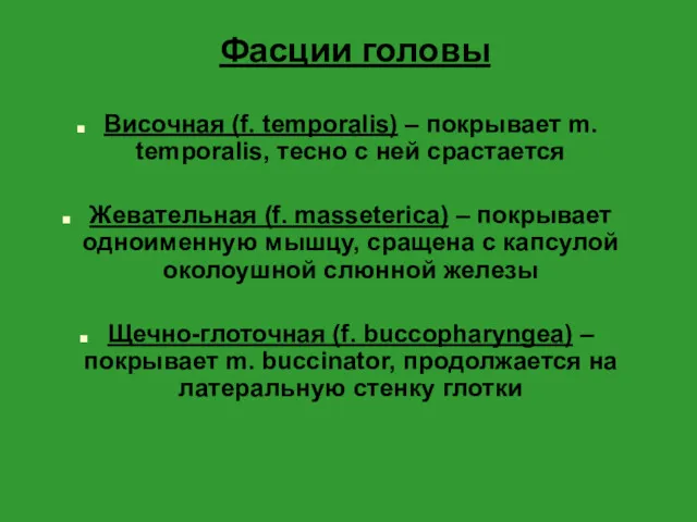 Фасции головы Височная (f. temporalis) – покрывает m. temporalis, тесно