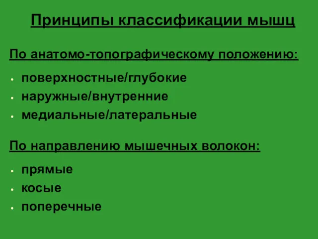 Принципы классификации мышц По анатомо-топографическому положению: поверхностные/глубокие наружные/внутренние медиальные/латеральные По направлению мышечных волокон: прямые косые поперечные