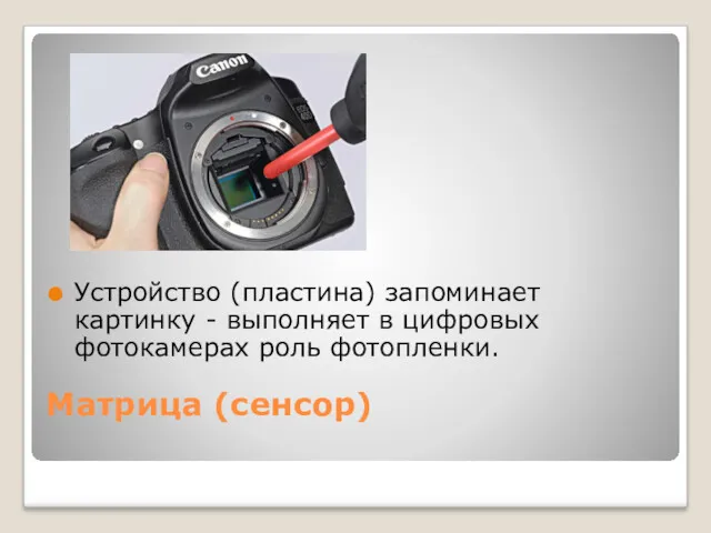 Матрица (сенсор) Устройство (пластина) запоминает картинку - выполняет в цифровых фотокамерах роль фотопленки.