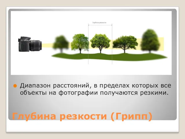 Глубина резкости (Грипп) Диапазон расстояний, в пределах которых все объекты на фотографии получаются резкими.