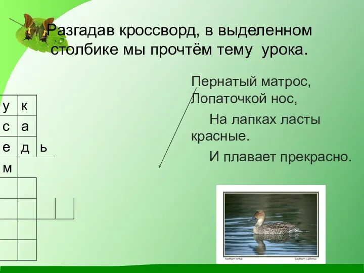 Разгадав кроссворд, в выделенном столбике мы прочтём тему урока. Пернатый