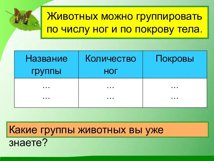 Животных можно группировать по числу ног и по покрову тела. Какие группы животных вы уже знаете?