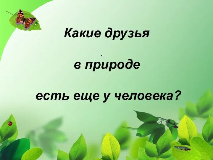 Какие друзья в природе есть еще у человека? .