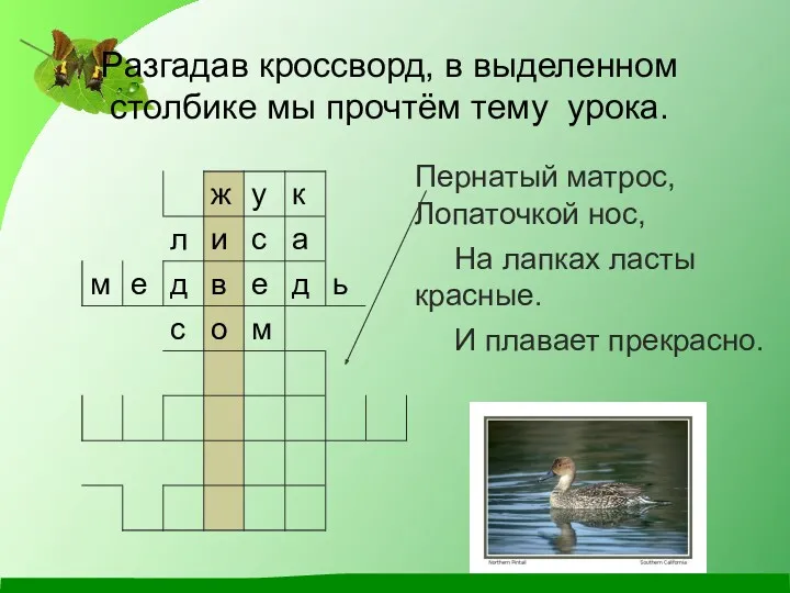 Разгадав кроссворд, в выделенном столбике мы прочтём тему урока. Пернатый