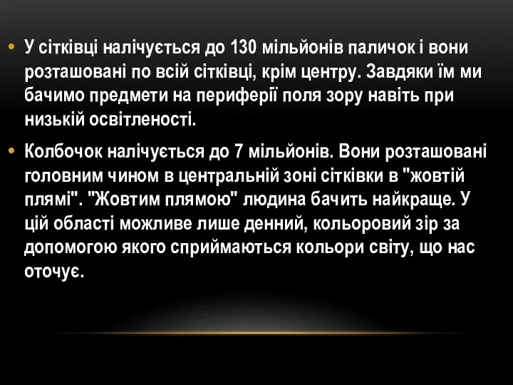 У сітківці налічується до 130 мільйонів паличок і вони розташовані