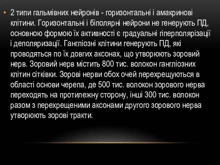 2 типи гальмівних нейронів - горизонтальні і амакринові клітини. Горизонтальні