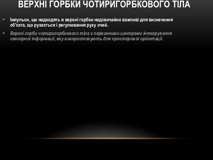 ВЕРХНІ ГОРБКИ ЧОТИРИГОРБКОВОГО ТІЛА Імпульси, що надходять в верхні горбки