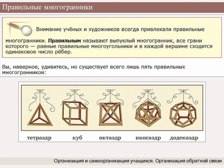 Правильные многогранники Организация и самоорганизация учащихся. Организация обратной связи