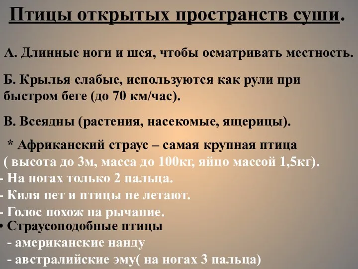 Птицы открытых пространств суши. А. Длинные ноги и шея, чтобы