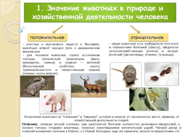 1. Значение животных в природе и хозяйственной деятельности человека - участвуя в круговороте