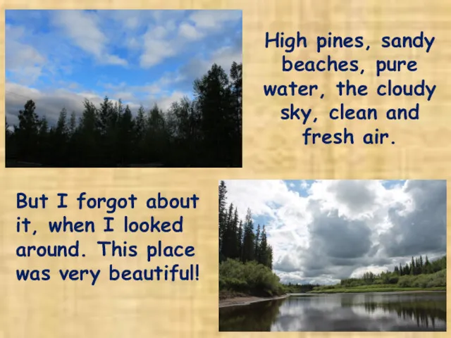 High pines, sandy beaches, pure water, the cloudy sky, clean