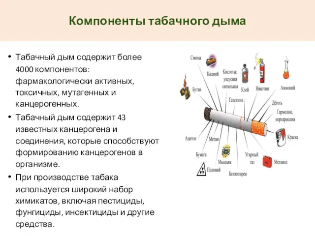 Компоненты табачного дыма Табачный дым содержит более 4000 компонентов: фармакологически