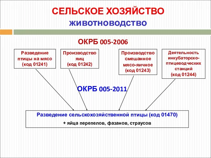 СЕЛЬСКОЕ ХОЗЯЙСТВО животноводство ОКРБ 005-2006 Разведение птицы на мясо (код