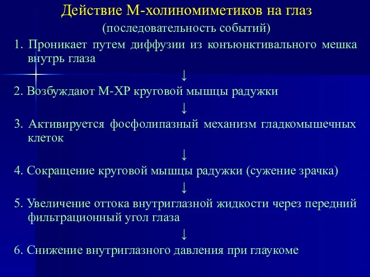 Действие М-холиномиметиков на глаз (последовательность событий) 1. Проникает путем диффузии