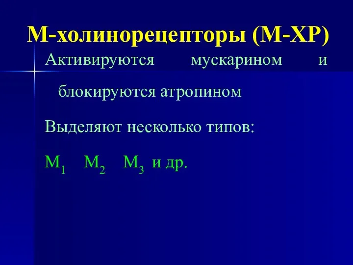 М-холинорецепторы (М-ХР) Активируются мускарином и блокируются атропином Выделяют несколько типов: М1 М2 М3 и др.