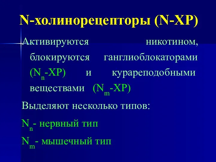 N-холинорецепторы (N-ХР) Активируются никотином, блокируются ганглиоблокаторами (Nn-ХР) и курареподобными веществами