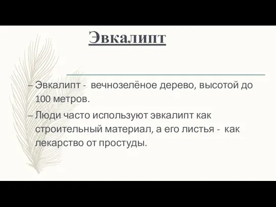 Эвкалипт Эвкалипт - вечнозелёное дерево, высотой до 100 метров. Люди