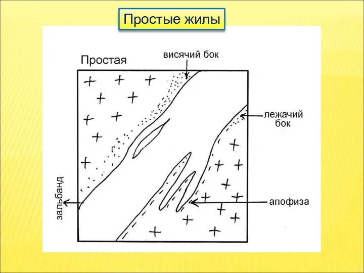 Простые жилы