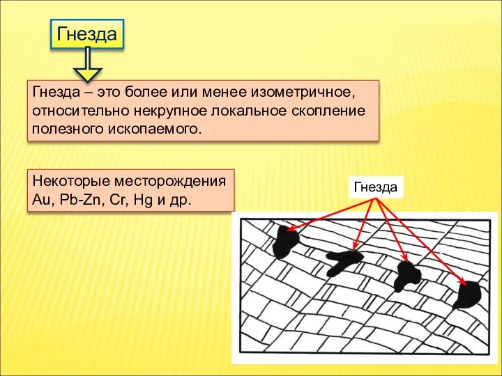 Гнезда Гнезда – это более или менее изометричное, относительно некрупное