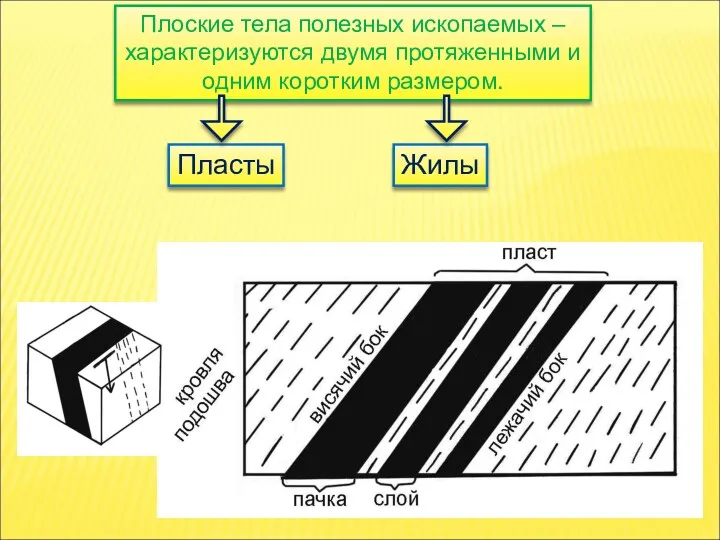 Плоские тела полезных ископаемых – характеризуются двумя протяженными и одним коротким размером. Пласты Жилы