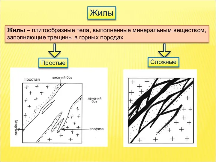 Жилы Жилы – плитообразные тела, выполненные минеральным веществом, заполняющие трещины в горных породах Сложные Простые