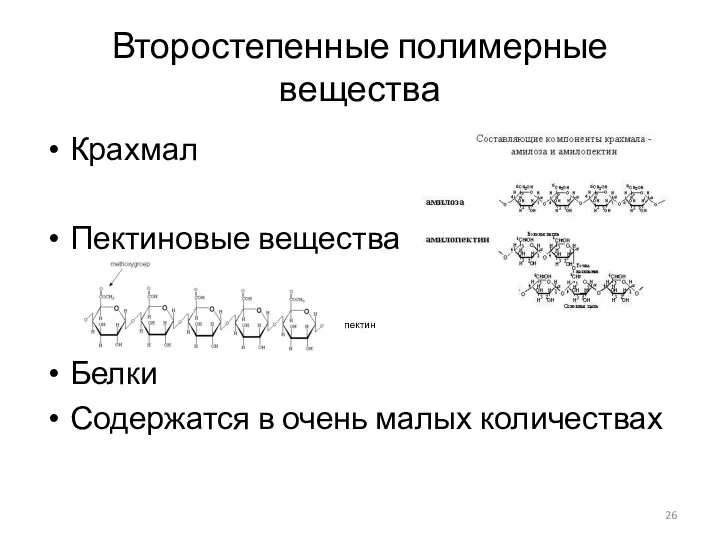 Второстепенные полимерные вещества Крахмал Пектиновые вещества Белки Содержатся в очень малых количествах пектин