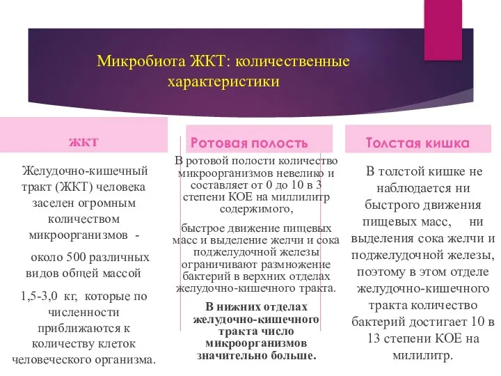 Микробиота ЖКТ: количественные характеристики жкт Желудочно-кишечный тракт (ЖКТ) человека заселен