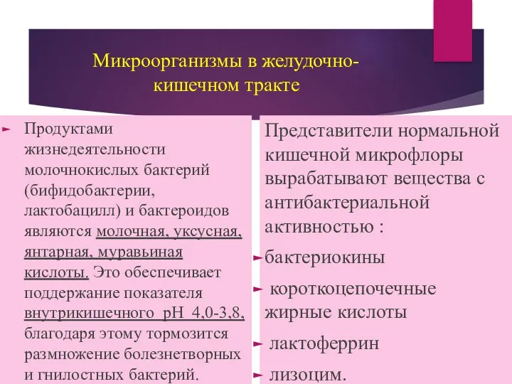 Микроорганизмы в желудочно-кишечном тракте Продуктами жизнедеятельности молочнокислых бактерий (бифидобактерии, лактобацилл)