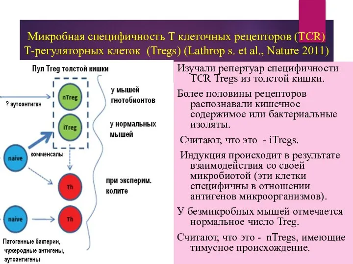 Микробная специфичность Т клеточных рецепторов (TCR) Т-регуляторных клеток (Tregs) (Lathrop