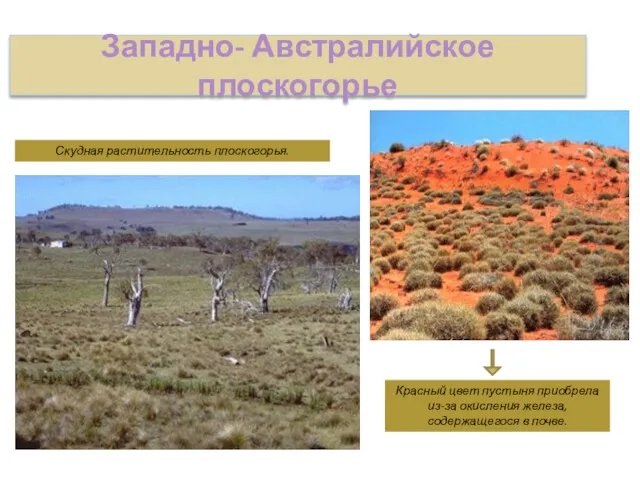 Западно- Австралийское плоскогорье Скудная растительность плоскогорья. Красный цвет пустыня приобрела из-за окисления железа, содержащегося в почве.