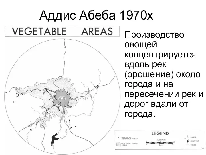 Аддис Абеба 1970х Производство овощей концентрируется вдоль рек (орошение) около