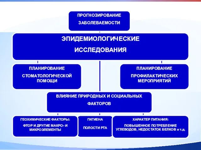 ЭПИДЕМИОЛОГИЧЕСКИЕ ИССЛЕДОВАНИЯ ПРОГНОЗИРОВАНИЕ ЗАБОЛЕВАЕМОСТИ ПЛАНИРОВАНИЕ СТОМАТОЛОГИЧЕСКОЙ ПОМОЩИ ПЛАНИРОВАНИЕ ПРОФИЛАКТИЧЕСКИХ МЕРОПРИЯТИЙ