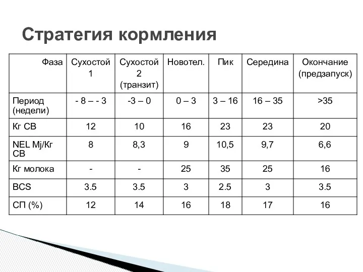 Стратегия кормления