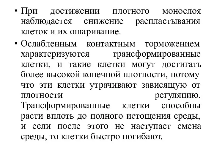 При достижении плотного монослоя наблюдается снижение распластывания клеток и их