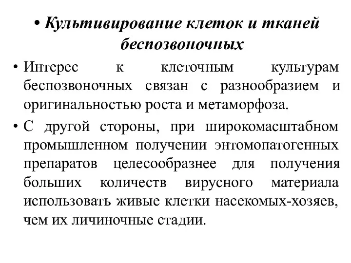 Культивирование клеток и тканей беспозвоночных Интерес к клеточным культурам беспозвоночных