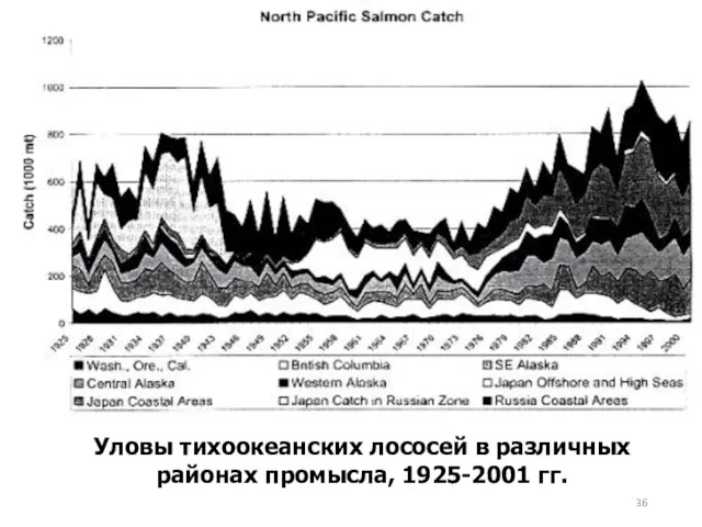 Уловы тихоокеанских лососей в различных районах промысла, 1925-2001 гг.