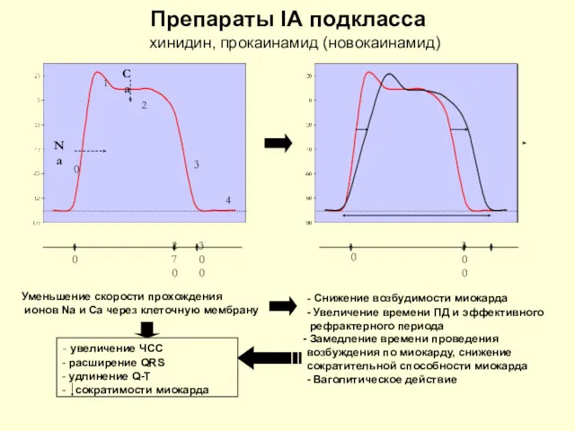 0 0 1 2 3 4 Препараты IА подкласса хинидин,